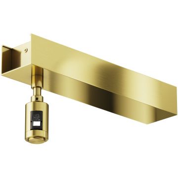 Основание потолочное для блока питания Maytoni (Майтони) с вводом питания Maytoni Flarity TRA156С-BB1-BS