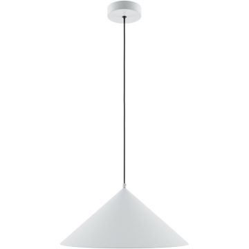 Светильник Maytoni (Майтони) подвесной Basic colors MOD167PL-01W