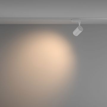 Трековый однофазный светодиодный светильник Maytoni (Майтони) Unity Vuoro TR003-1-10W3K-W-W