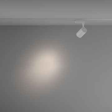 Трековый однофазный светодиодный светильник Maytoni (Майтони) Unity Vuoro TR003-1-10W4K-S-W