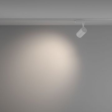 Трековый однофазный светодиодный светильник Maytoni (Майтони) Unity Vuoro TR003-1-10W4K-W-W