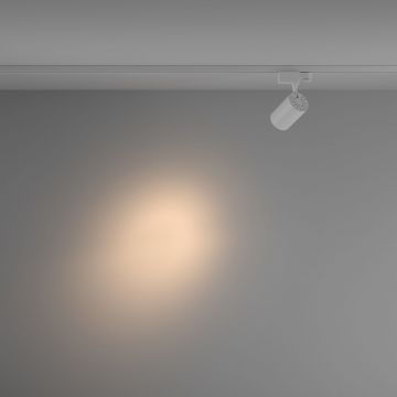 Трековый трехфазный светодиодный светильник Maytoni (Майтони) Trinity Vuoro TR029-3-10W3K-S-W
