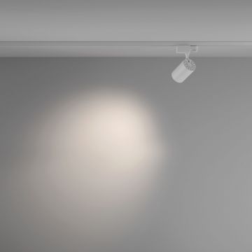 Трековый трехфазный светодиодный светильник Maytoni (Майтони) Trinity Vuoro TR029-3-10W4K-M-W