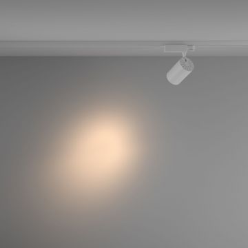 Трековый трехфазный светодиодный светильник Maytoni (Майтони) Trinity Vuoro TR029-3-20W3K-S-W