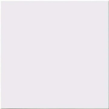 Керамическая плитка Absolut Keramika (Абсолют Керамика) Liso Mate Blanco 20x20 см