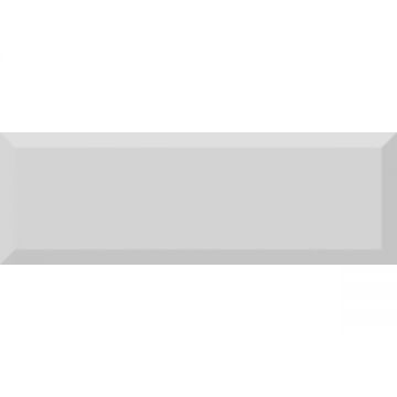 Керамическая плитка Absolut Keramika (Абсолют Керамика) Monocolor Biselado Brillo Gris 10x30 см