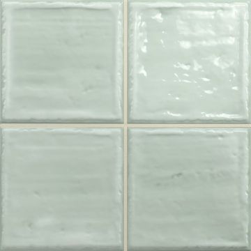 Керамическая плитка Absolut Keramika (Абсолют Керамика) Noa Fern 20x20 см