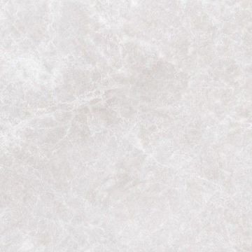 Керамогранит Cristacer (Кристакер) Capitolina Серый 60х60 см Матовый (CAPITOLINA ASH 59,2x59,2)