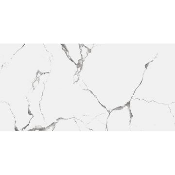 Керамогранит Royce (Ройс) Evon Statuario 60x120 см Matt R_NR2003