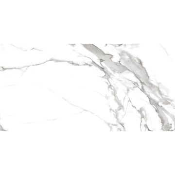 Керамогранит Royce (Ройс) Segesta Grey 60x120 см Polished R_PR2004