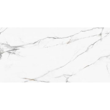 Керамогранит New Trend (Нью Тренд) Calacatta Regal полированный 60х120 см 60120REG00P