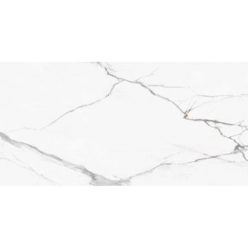 Керамогранит New Trend (Нью Тренд) Calacatta Regal полированный 60х120 см 60120REG00P