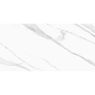 Керамогранит New Trend (Нью Тренд) Life Calacatta матовый 60x120 см, D120239M