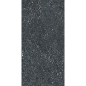 Керамогранит Stn Ceramica (Стн Керамика) P.E. 3DB Charisma Black MT Rect. 60х120 см, ректификат (925977)