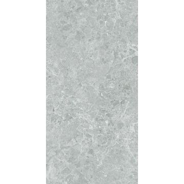 Керамогранит Stn Ceramica (Стн Керамика) P.E. 3DB Charisma Grey MT Rect. 60х120 см, ректификат (925978)