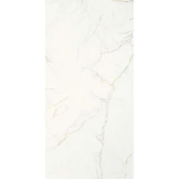 Керамогранит STN Ceramica (СТН Керамика) Thuile Venato Natural MT 60х120 см, CAN5THUIVDAA