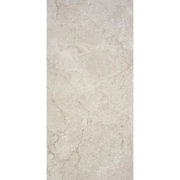 Керамогранит STN Ceramica (СТН Керамика) Cruise Greige MT 60х120 см, CAN5CRUIBDOA