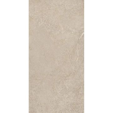 Керамогранит STN Ceramica (СТН Керамика) Arenite Natural MT 60х120 см, CAN5AREIQDOA
