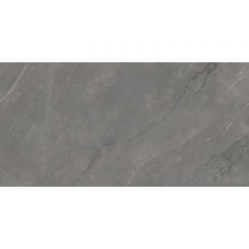 Керамогранит Infinity Ceramica (Инфинити Керамика) Astonia Grey Glossy Golden Line 60x120 см, глянцевый