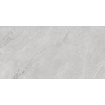 Керамогранит Infinity Ceramica (Инфинити Керамика) Astonia Silver Glossy Silver Line 60x120 см, глянцевый