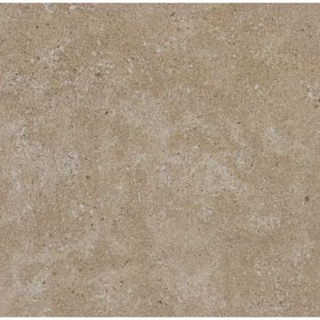 Керамогранит Maimoon Ceramica (Маймун Керамика) Outdoor Core Mushroom 60х60 см