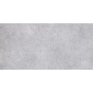 Керамогранит Primavera (Примавера) Nemo Light Grey 60х120 NR211
