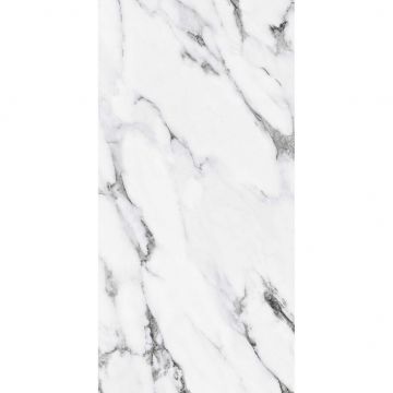 Керамогранит Primavera Fantasy Black polished 60х120 см PR226