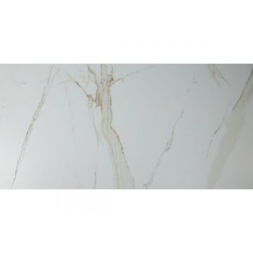 Керамогранит Primavera (Примавера) Regal Carara grit granula 60х120 см GG201