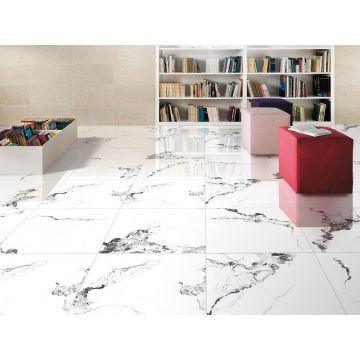 Керамогранит Primavera Videl Bianco polished 60х60 см PR129