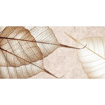 Декор Primavera (Примавера) Irida Листья 1 30х60 см ТР3688F1