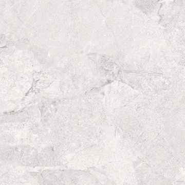 Керамогранит PrimaVera (Примавера) Тянь-Шань Фавор 60х60 см серый (TP66M09)