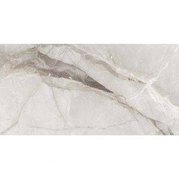 Керамогранит Dogma (Догма) Project Antibacterial Regina Silk Natural Rettificato 60x120 см (DPA601215SN)