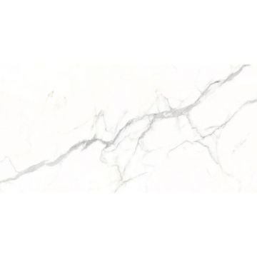 Керамогранит Dogma (Догма) Project Antibacterial Torino Silk Natural Rettificato 60x120 см (DPA601216SN)