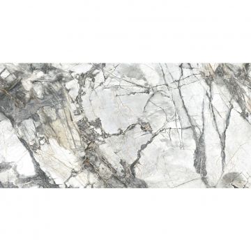 Керамогранит Dogma (Догма) Project Antibacterial Invisible Solid Levigato Rettificato 60x120 см (DPA601225P)