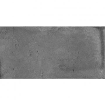 Керамогранит Dogma (Догма) Project Antibacterial Garage Steel Silk Natural Rettificato 60x120 см (DPA601235SN)