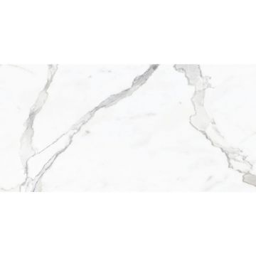 Керамогранит Dogma (Догма) Project Antibacterial Venato Silk Natural Rettificato 60x120 см (DPA601236SN)