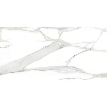 Керамогранит Bluezone (Блюзон) Antique Satvario White Carving 60x120 см, RP-203363