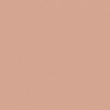 Керамогранит Equipe (Эквип) Bauhome Rose 20x20 см