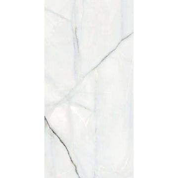 Керамогранит AB Azulejos Benadresa (Аб Азулиос Бенадреса) Newbury Pulido Rect White 60x120 см