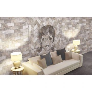 Керамогранит Cir (Кир) New York Greenwich Village 10x20 см