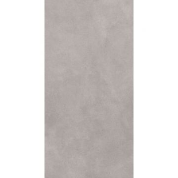 Керамогранит Global Tile (Глобал Тайл) Cassini Серый 60х120 см GT1206017701MR