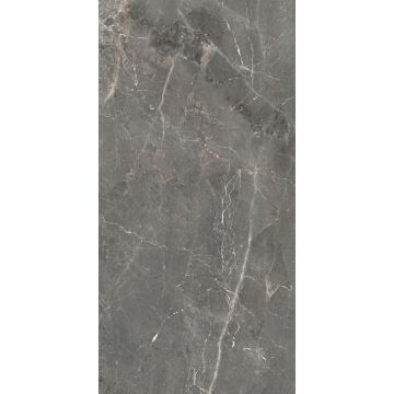 Керамогранит Global Tile (Глобал Тайл) Tulip Серый 60х120 см GT1206012109SPR