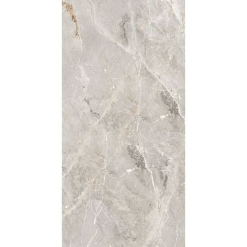 Керамогранит Global Tile (Глобал Тайл) Tulip Серый 60х120 см GT1206012101SPR