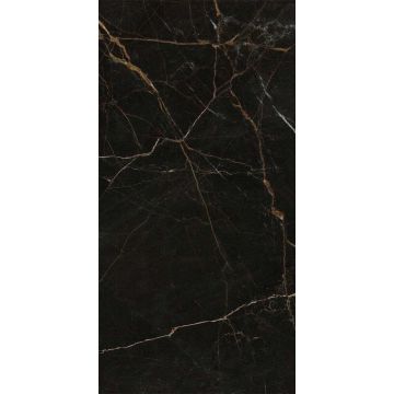 Керамогранит Global Tile (Глобал Тайл) Olimpia Черный 60х120 см GT1206011405HPR
