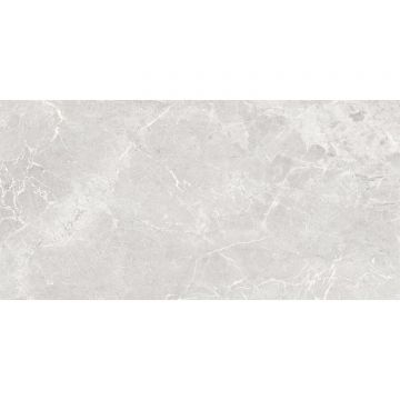 Керамогранит Global Tile (Глобал Тайл) Magic Серый 60х120 см GT120608401MCR