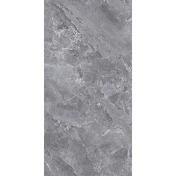 Керамогранит Global Tile (Глобал Тайл) Silver Серый 60х120 см GT1206015701PSiR