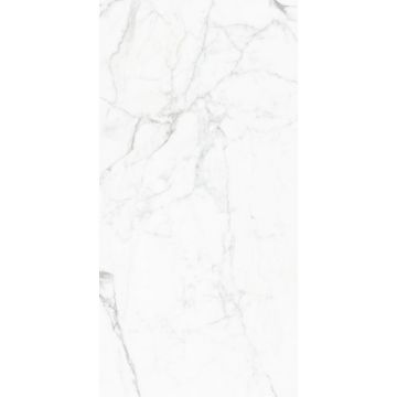 Керамогранит Global Tile (Глобал Тайл) Elegant Statuario Белый 60х120 см GT120604803PR