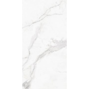 Керамогранит Global Tile (Глобал Тайл) Monza Белый 60х120 см GT120607803PR