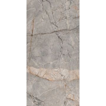 Керамогранит Global Tile (Глобал Тайл) Bizarre Серый 60х120 см GT120604201MGR