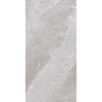 Керамогранит Global Tile (Глобал Тайл) Accord Серый 60х120 см GT120607215PR/30